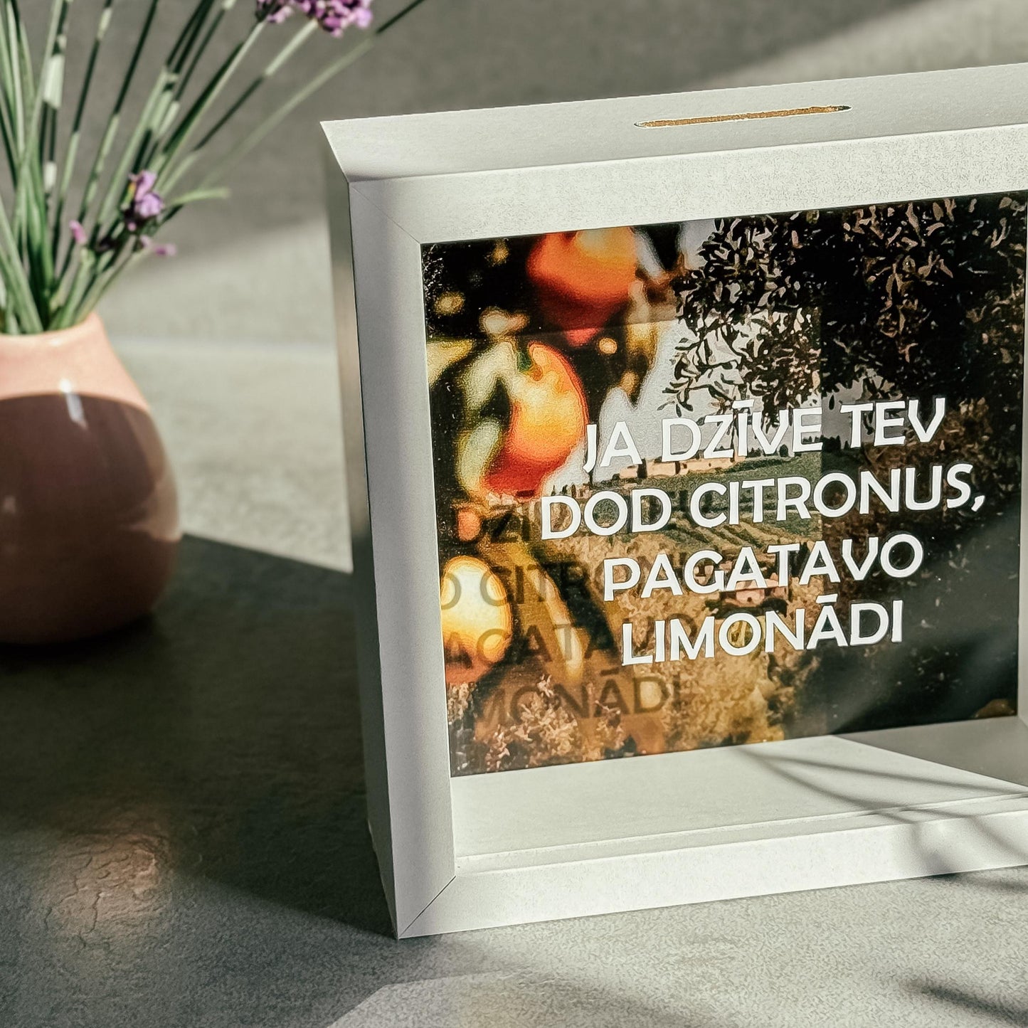 "JA DZĪVE TEV DOD CITRONUS" NAUDAS KRĀJKASE