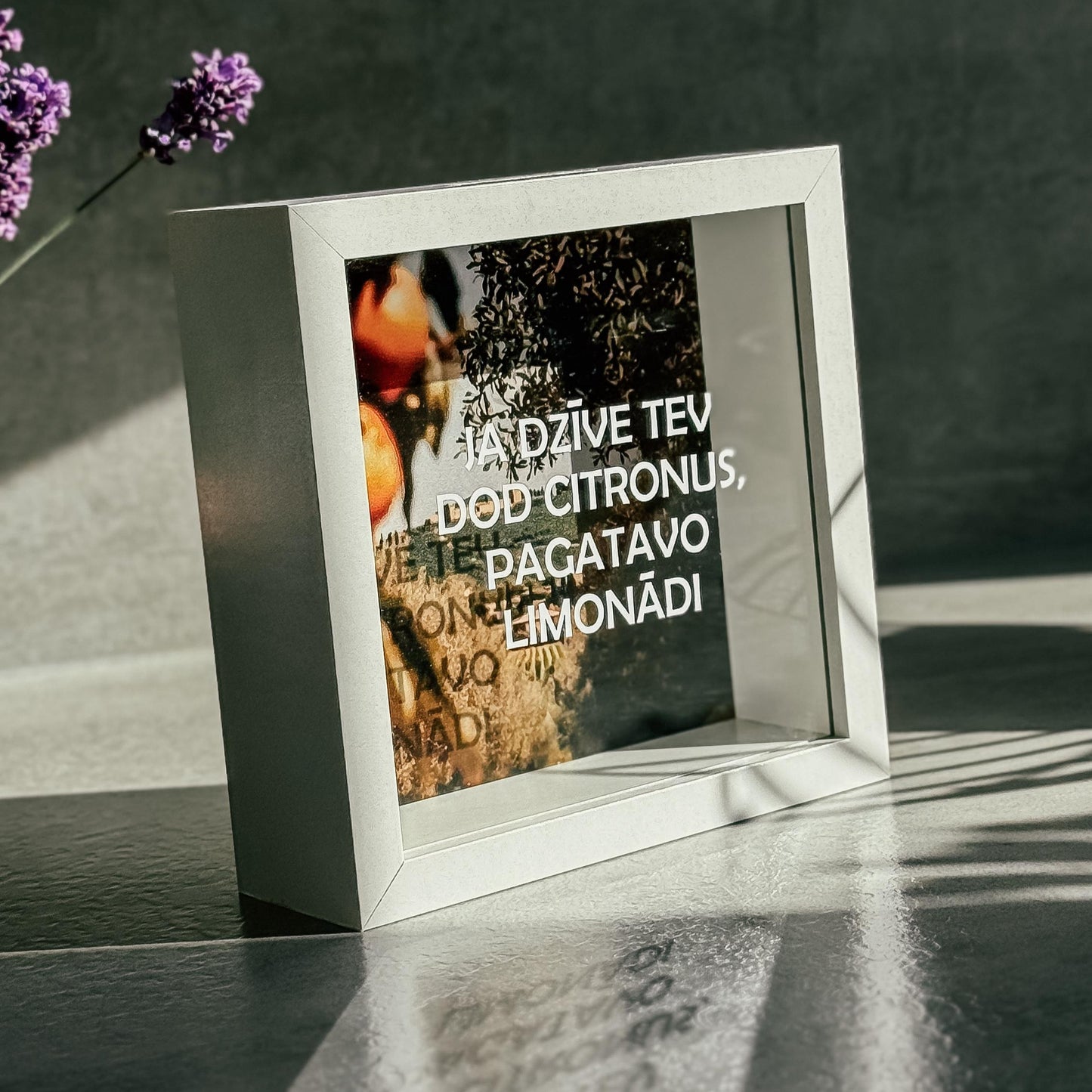 "JA DZĪVE TEV DOD CITRONUS" NAUDAS KRĀJKASE