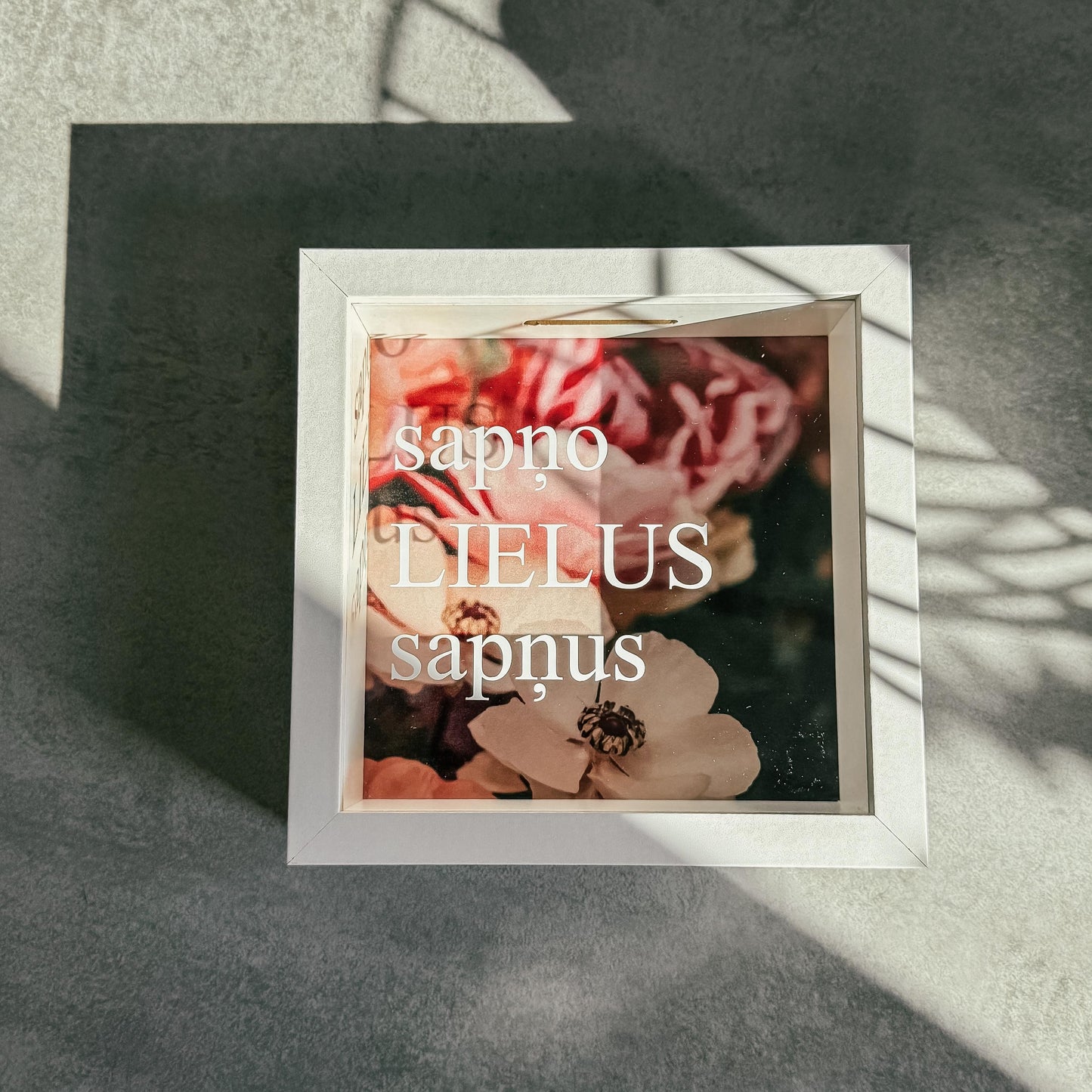 "SAPŅO LIELUS SAPŅUS" NAUDAS KRĀJKASE