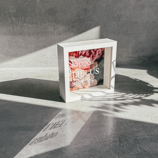 "SAPŅO LIELUS SAPŅUS" NAUDAS KRĀJKASE