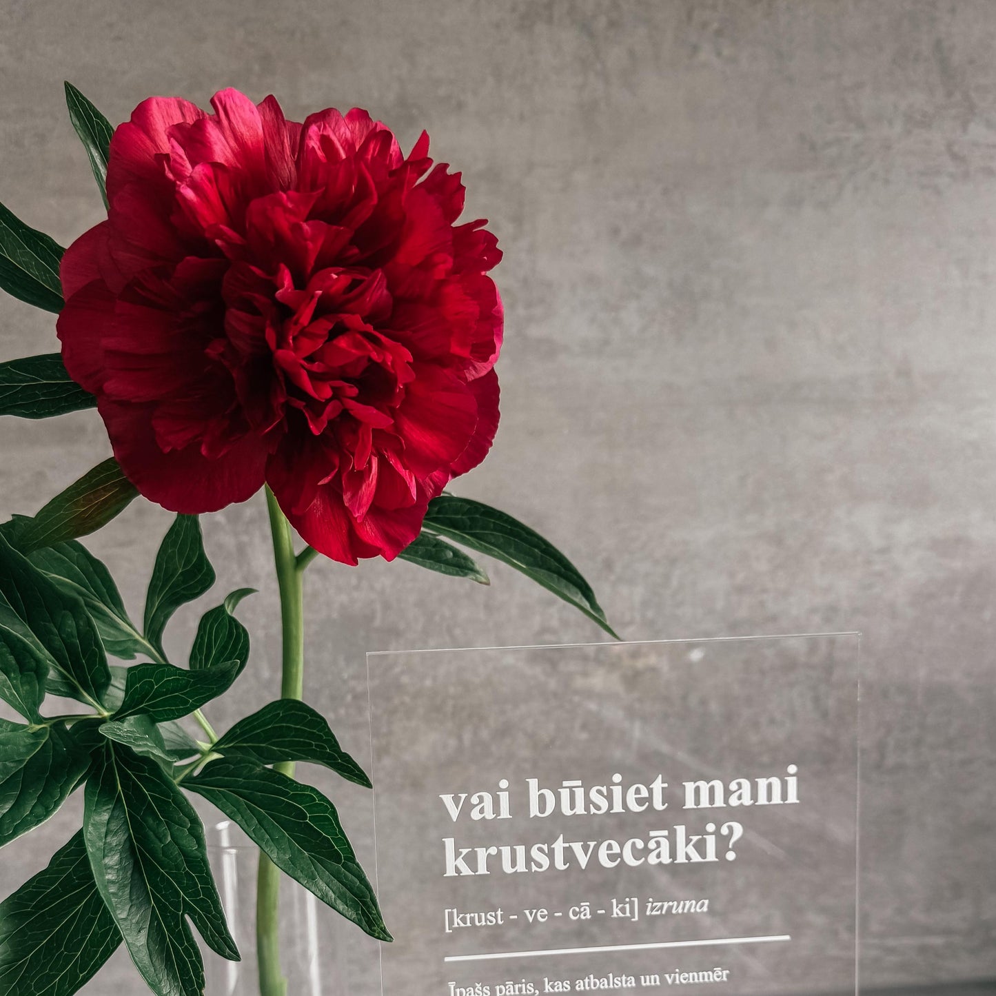 STIKLA DEKORS "VAI BŪSIET MANI KRUSTVECĀKI?"