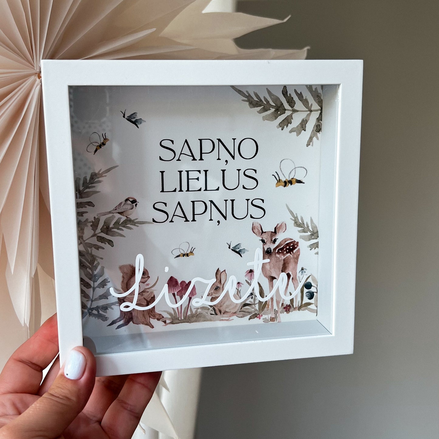 NAUDAS KRĀJKASE "SAPŅO LIELUS SAPŅUS"
