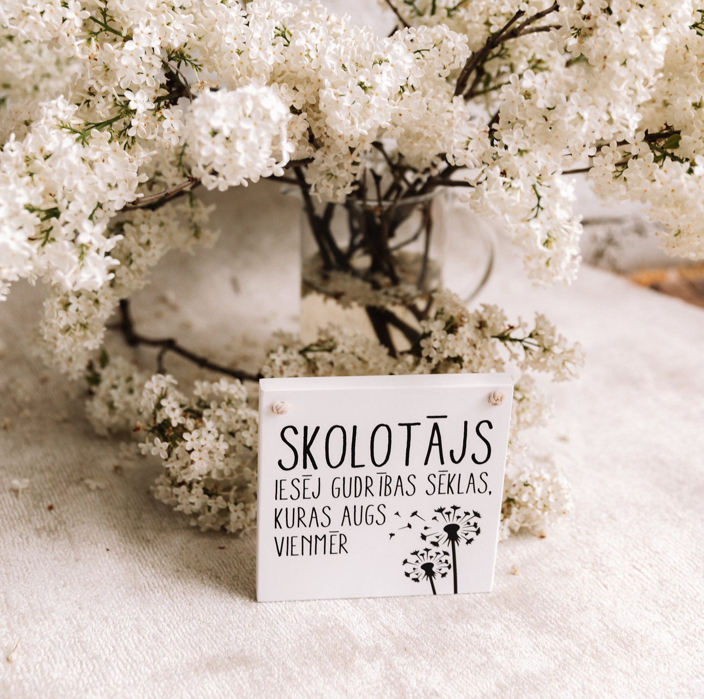 KOKA DEKORS "SKOLOTĀJS"