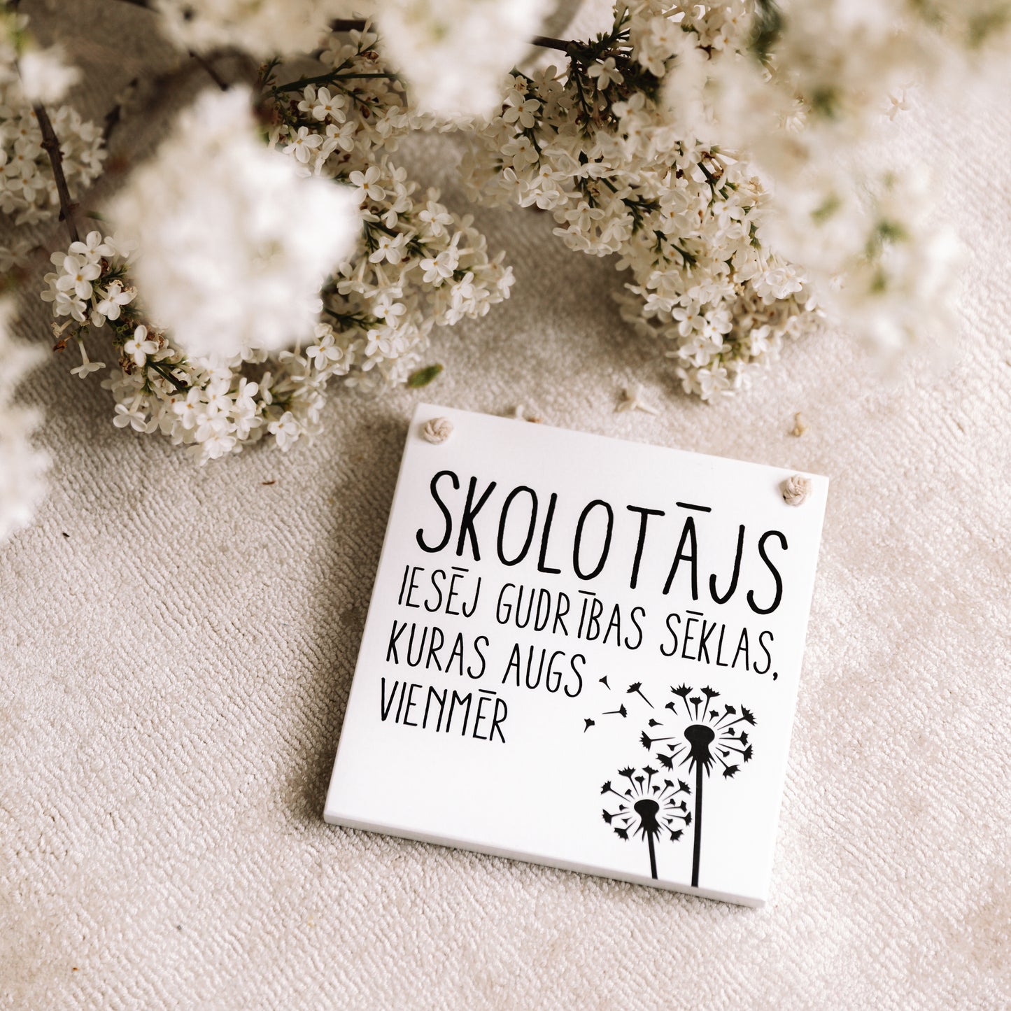 KOKA DEKORS "SKOLOTĀJS"